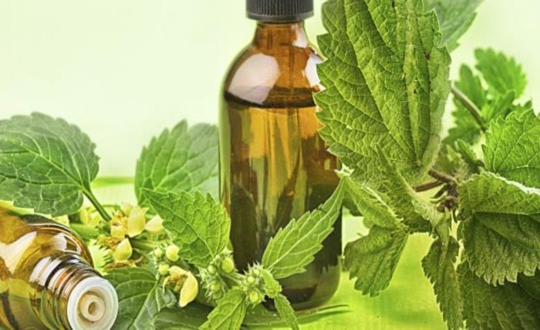 Traditional vs. Modern Medicine; Rivals or Partners