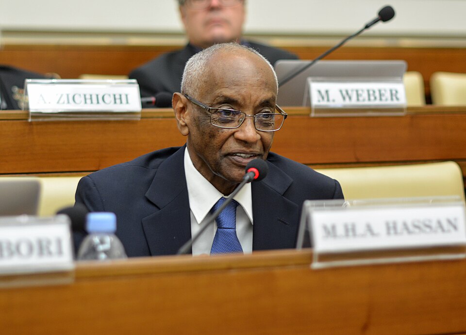 Mohamed H.A. Hassan