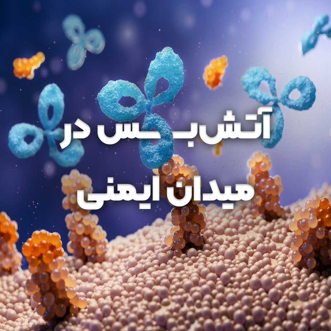 ‌آتش‌بس در میدان ایمنی
