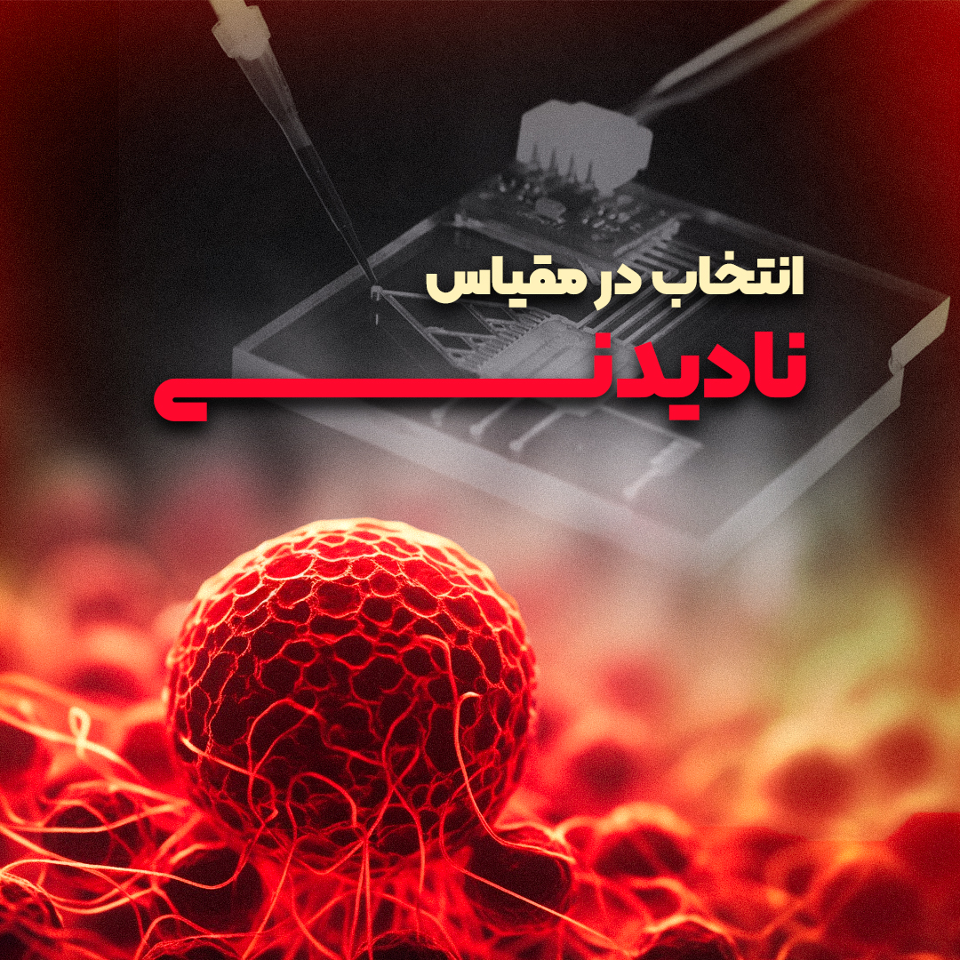 انتخاب در مقیاس نادیدنی
