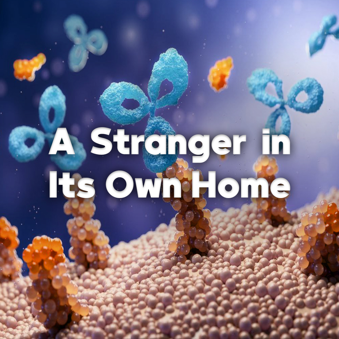 A Stranger in its own home