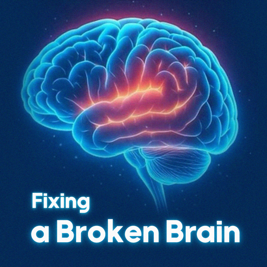 Fixing a broken brain
