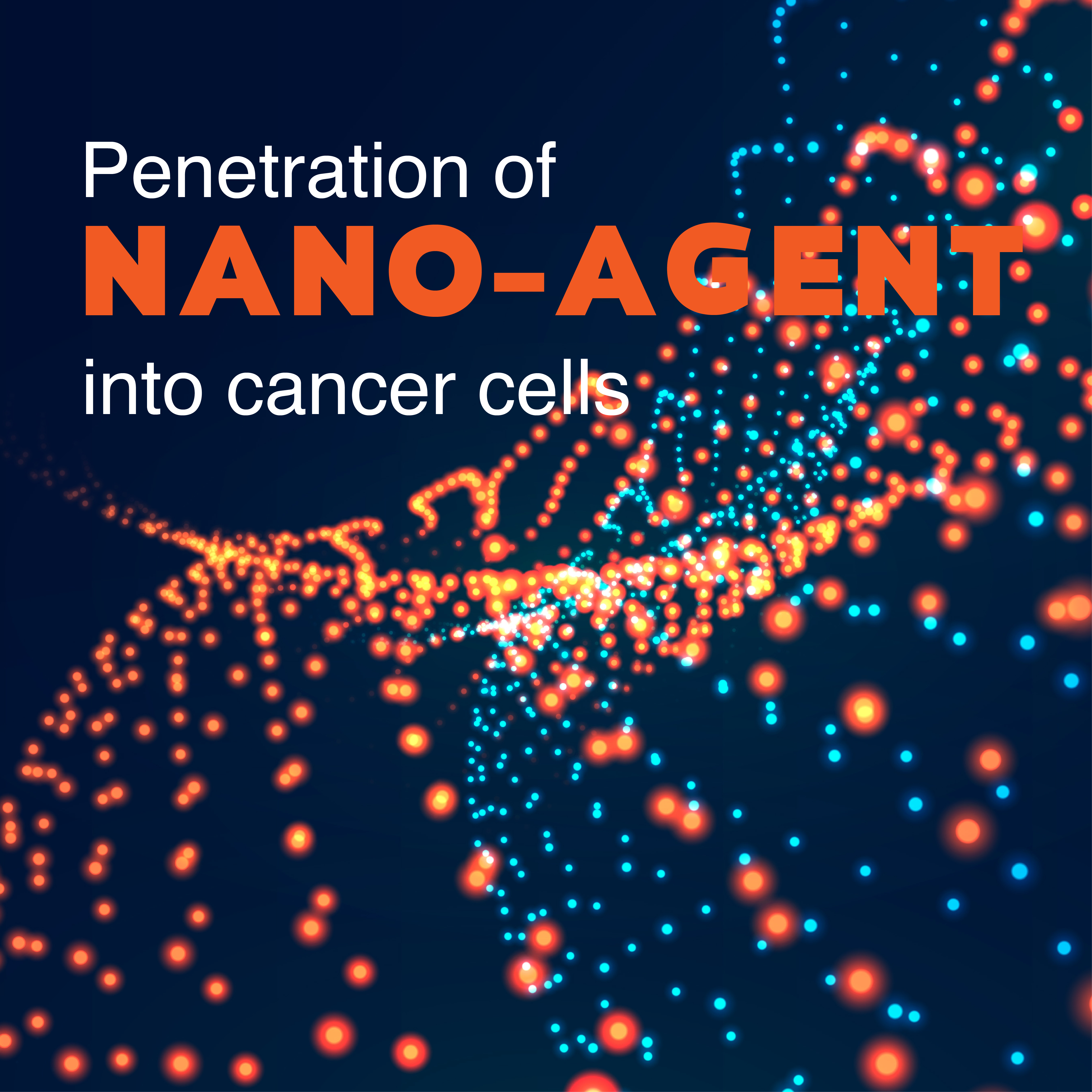 Penetration of NANO-AGENT into cancer cells