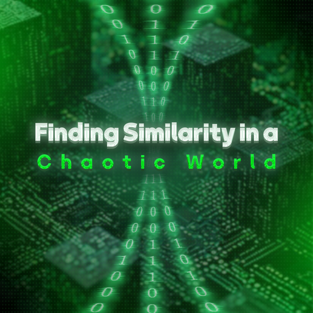 Finding Similarity in a Chaotic World