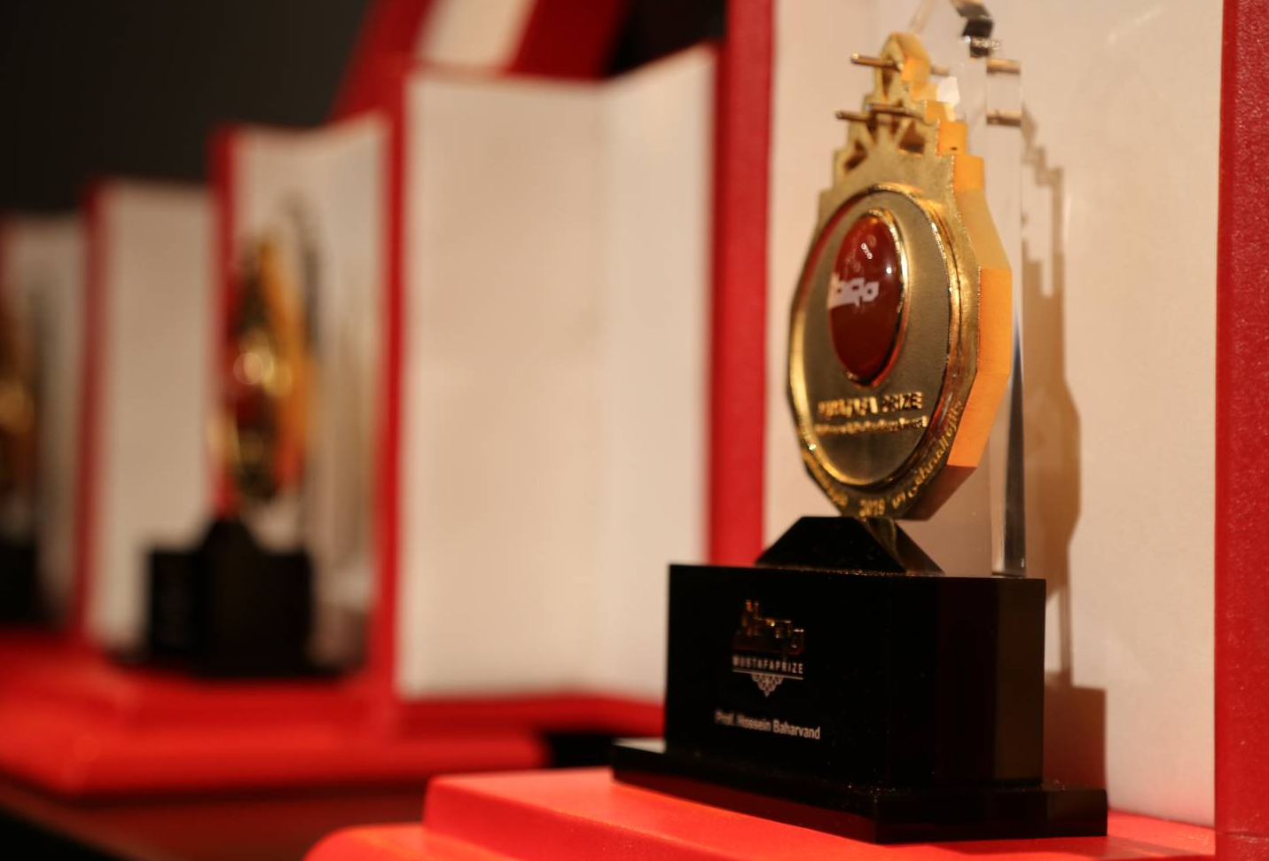 Which fields of science will be granted Mustafa(Pbuh) Prize in its 5th edition?