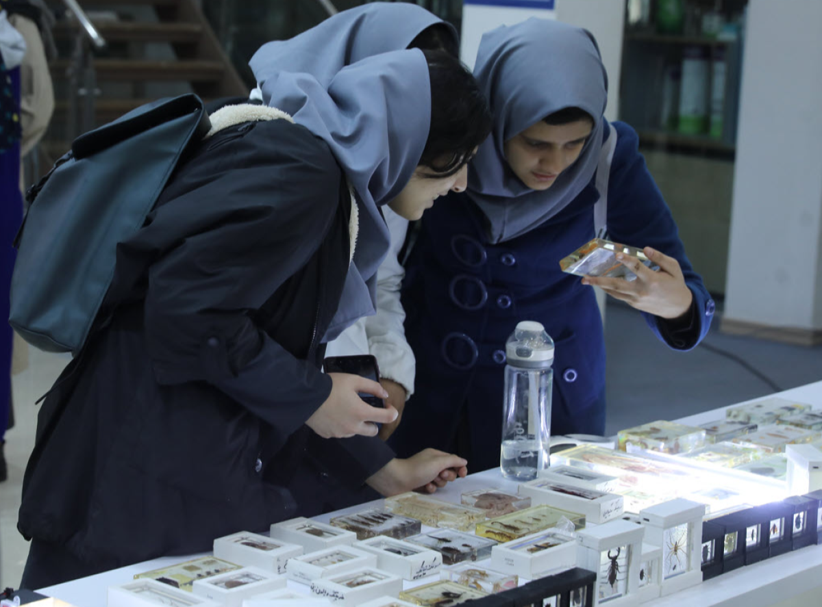 A Day of Discovery: Highlights from the Second Sci-Feast