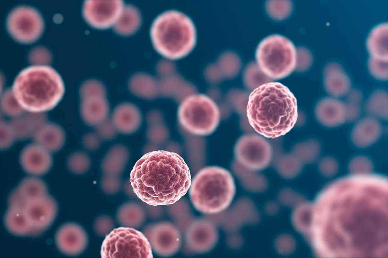 Science Cafe 28: Hunting Rebellious Cells