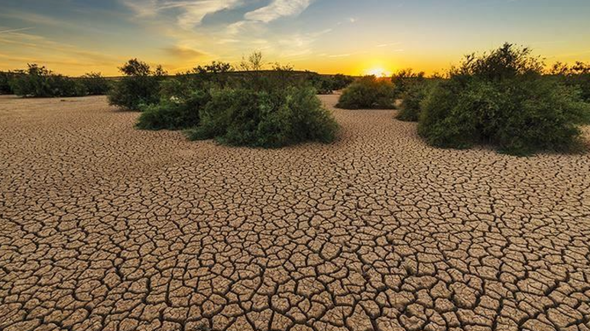 تغییرات آب و هوایی بر هر بخش از زندگی تأثیر می گذارد