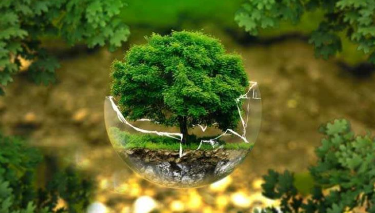 رونمایی و غلبه بر آلاینده های در حال ظهور: از نمایش منبع تا راه حل های پایدار