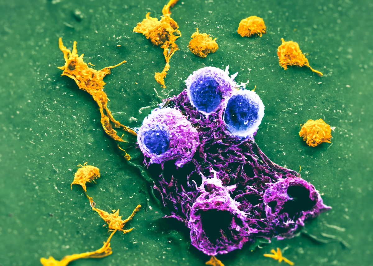 Penetration of nano-agent into cancer cells